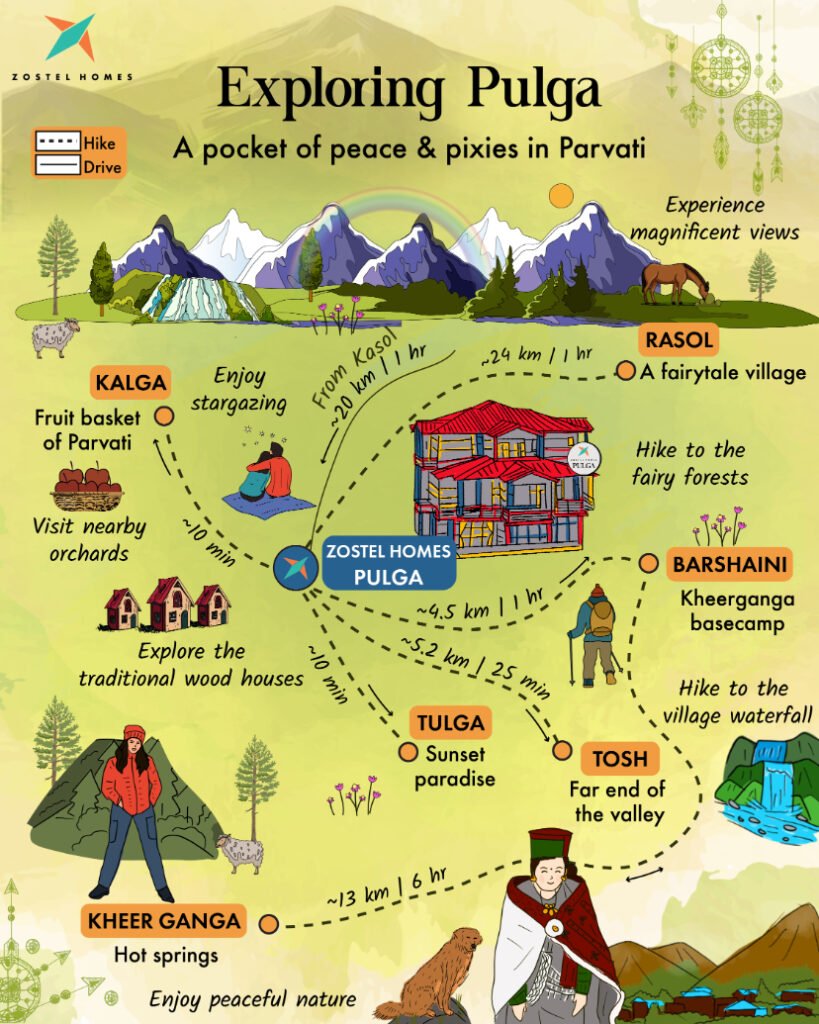 20240104065530 pulga design