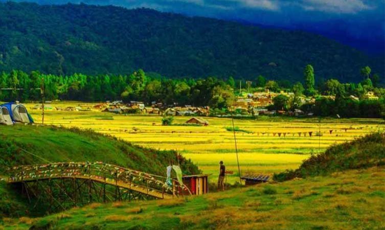 ziro valley11